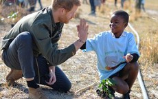 Hành động tuyệt vời của Hoàng tử Harry khi ủng hộ Greta Thunberg lại ghi điểm trong mắt công chúng