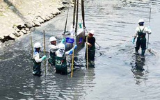 Tháo dỡ hệ thống làm sạch sông Tô Lịch, di chuyển đàn cá Koi sang Hồ Tây