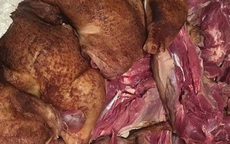 Bí mật loại thịt gà lạ chuyên nấu giả cầy gây sốt khắp chợ