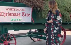 Melania đón cây thông Giáng sinh khổng lồ đến Nhà Trắng