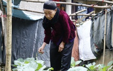 Tết đầu tiên của cụ bà 85 tuổi sau khi viết đơn xin được ra khỏi hộ nghèo