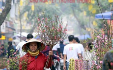 Ghé thăm chợ hoa cổ Hàng Lược mỗi năm chỉ họp duy nhất một lần ở Thủ đô