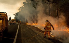 Australia: Sân bay đóng cửa vì cháy rừng