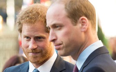 Rạn nứt William - Harry 'bắt nguồn từ khi bố mẹ ly hôn'