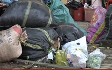 Thành phố Hà Tĩnh ngập chìm trong rác sau khi nước rút