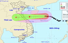 Bão số 8 gây mưa to từ chiều tối nay, từ Nghệ An đến Thừa Thiên Huế cẩn trọng tàu thuyền, công trình gần bờ