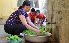 Tuyên Quang: Hiệu quả lớn cho người dân từ chương trình vệ sinh và nước sạch nông thôn dựa trên kết quả đầu ra