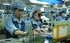 Quý IV 2020: Hàng chục nghìn cơ hội việc làm cho người lao động tại Thành phố Hồ Chí Minh