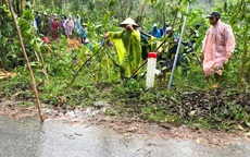 Sạt lở đất ở Quảng Nam, một người chết