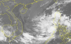 Áp thấp nhiệt đới mạnh lên thành bão giật cấp 11 hướng vào Nam Trung bộ