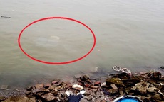 Bất ngờ về người liên quan đến 12 thùng phuy nghi có chất độc hại đổ trộm xuống sông Hồng