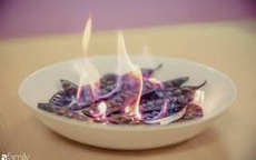 Tác dụng thần kỳ của quả bồ kết hết ngứa, sạch gầu, phòng ngừa đau ốm rất hữu hiệu