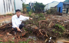 Hà Nội: Vườn cây cảnh trị giá gần nửa tỷ đồng bị phá hủy trong đêm