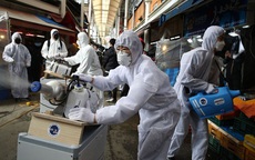 Hàn Quốc thêm gần 370 trường hợp nhiễm, 50 người tử vong vì COVID-19