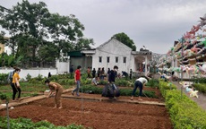 Hà Tĩnh: Hàng trăm người cách ly làm vườn rau tri ân trường mầm non