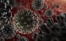 Mỹ phát hiện cách virus SARS-CoV-2 trốn hệ miễn dịch, WHO dự báo đỉnh dịch tại Malaysia