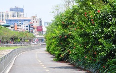 Sự thay đổi đáng kinh ngạc của tuyến đường đi bộ dọc sông Tô Lịch sau một năm đi vào hoạt động