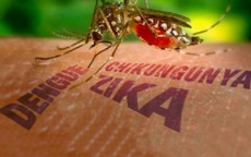 Bất ngờ phát hiện nam thanh niên ở Đà Nẵng mắc virus Zika