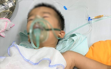 Kịp thời cứu sống bé 4 tuổi bị trâu húc thủng phổi