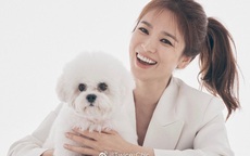 Song Hye Kyo lần đầu lộ diện sau tin đồn Song Joong Ki hẹn hò nữ luật sư, nhan sắc và biểu cảm gây chú ý