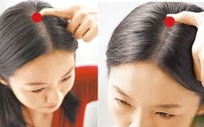 Cơ thể con người có 5 "công tắc" để mọc tóc, hãy bấm mỗi ngày để ngăn rụng tóc và tạm biệt hói đầu