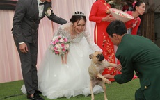 Bật cười vì biểu cảm thảng thốt của chú chó cưng khi bị bắt 'chia ly' với cô chủ trên sân khấu đám cưới