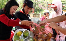 Hết dưa hấu, người dân Hội An tiếp tục “giải cứu” cam Nghệ An
