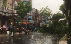 Cây đổ, đường phố Sài Gòn mênh mông nước sau trận mưa cực lớn