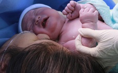 7.300 em bé chào đời 3 ngày nghỉ Tết Tân Sửu
