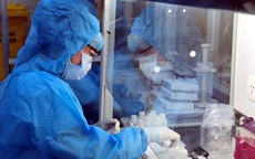 Bệnh nhân người Nhật tử vong ở Hà Nội nhiễm biến thể mới của SARS-CoV-2