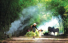 Thâm cung bí sử (227 - 3): Mẹ chồng nàng dâu