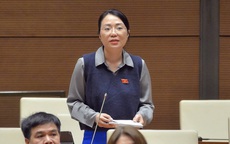 ĐBQH Phạm Thị Minh Hiền: Chính phủ đã "bắt rất đúng bệnh", tiếp theo là "điều trị"