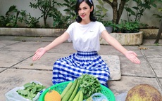 'Người đẹp Tây Đô' Việt Trinh khoe khu vườn toàn trái cây đặc sản, không thiếu món gì