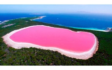 Kì lạ hồ nước màu hồng ở Australia