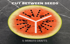 Cách trồng 3 loại quả phổ biến từ hạt cực nhanh lại đơn giản cho những ai mê làm vườn