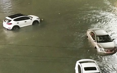 TP Quảng Ngãi: Đường sá ngập sâu, nhiều ôtô "bơi" giữa nước