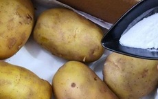 Mua khoai tây về hay bị xanh hoặc mọc mầm, nhét thêm quả này vào để lâu vẫn chẳng sao