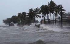 Áp thấp nhiệt đới khả năng mạnh lên thành bão giật cấp 10