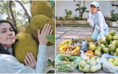 Sau dịch Việt Trinh trở về biệt thự ở Bình Dương, thu hoạch 1 sân đầy hoa quả