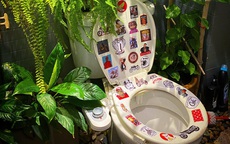 Nhà vệ sinh khiến dân tình đổ xô vào tranh cãi: Dán sticker lên bồn cầu, bày cây thật chill liệu có hợp lý?