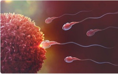 COVID-19 có thể ảnh hưởng đến hệ sinh sản của nam giới trong 2 tháng | Khoa học | Vietnam+ (VietnamPlus)