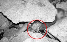 Rùng rợn người đàn ông bị tảng đá khổng lồ đè chết, chi tiết ở trung tâm bức ảnh gây chú ý và sự thật "trần trụi" khiến ai cũng choáng