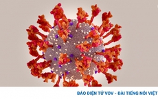 CDC Mỹ: Thời gian ủ bệnh của biến thể Omicron chỉ khoảng 3 ngày