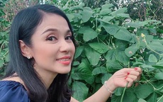 Việt Trinh về nhà vườn rộng 2.500m2 ở Bình Dương dịp Tết dương lịch, cây trái xum xuê, hoa nở 4 mùa ai cũng mê