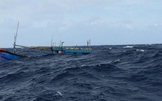 Thừa Thiên Huế: Tàu cá cùng 12 ngư dân bị tàu hàng nước ngoài đâm chìm