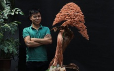 Những cây bonsai đẹp đến khó tin làm ra từ bàn tay người mắc "căn bệnh hoàng gia"