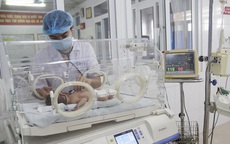 Ca hiếm gặp, bé sơ sinh Quảng Ninh vừa chào đời đã bị sốc phản vệ
