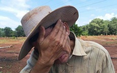 Không thể tin được: Khoai lang 500 - 600 đồng một kg, lão nông 71 tuổi khóc nức nở trên đồng ruộng