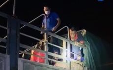 Quảng Ninh: Phát hiện gần 20 người trốn trong xe tải chở lợn để qua chốt kiểm soát