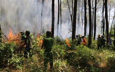 Thừa Thiên Huế: Lại thêm vụ cháy rừng thông ở thị xã Hương Thủy